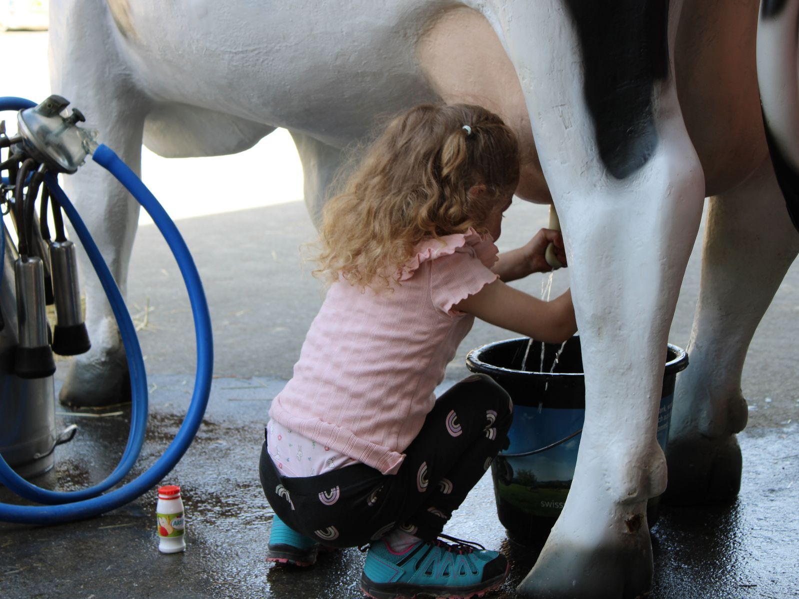 Emma auf Hoftour – Kinder auf Bauernhöfen
