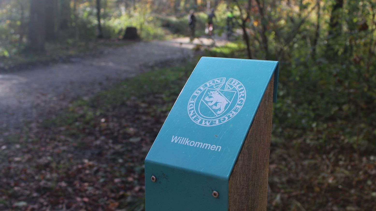 Wegmarkierung neben einem Waldweg