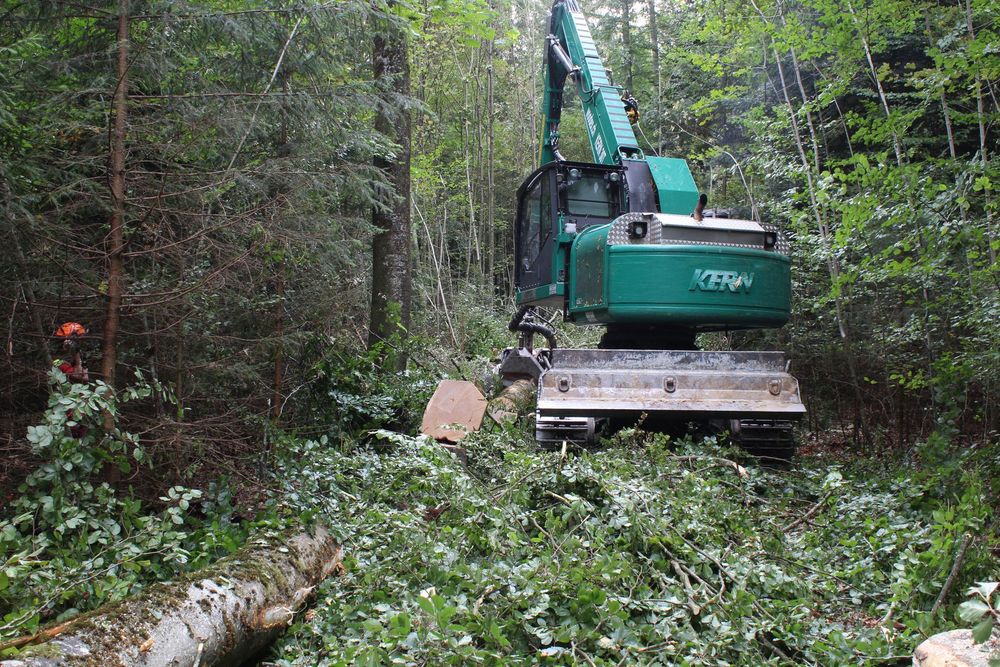 Ein Bagger arbeitet in einem Wald und bewegt gefällte Baumstämme und Äste.