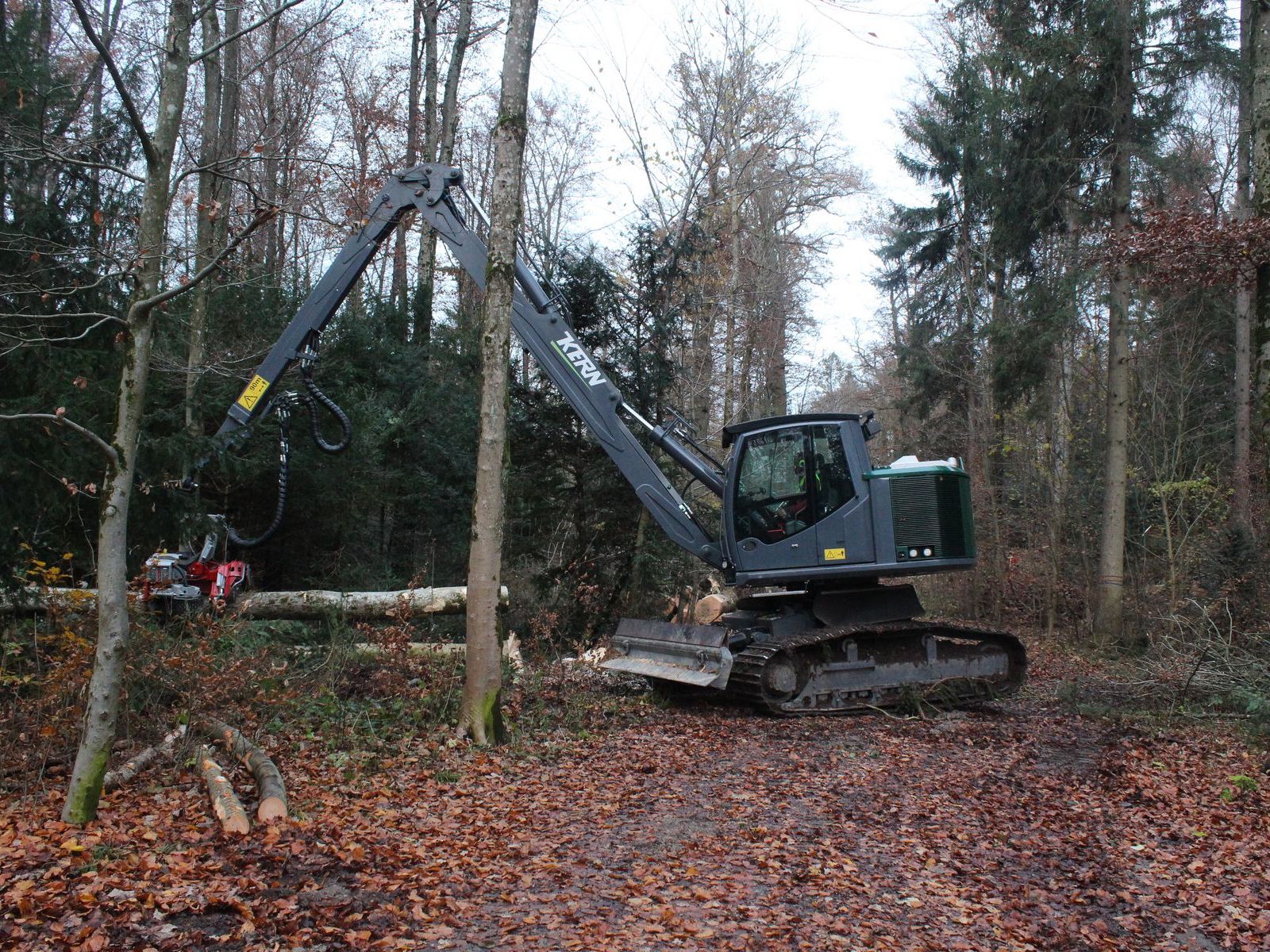 Forstmaschine Elenor in Aktion