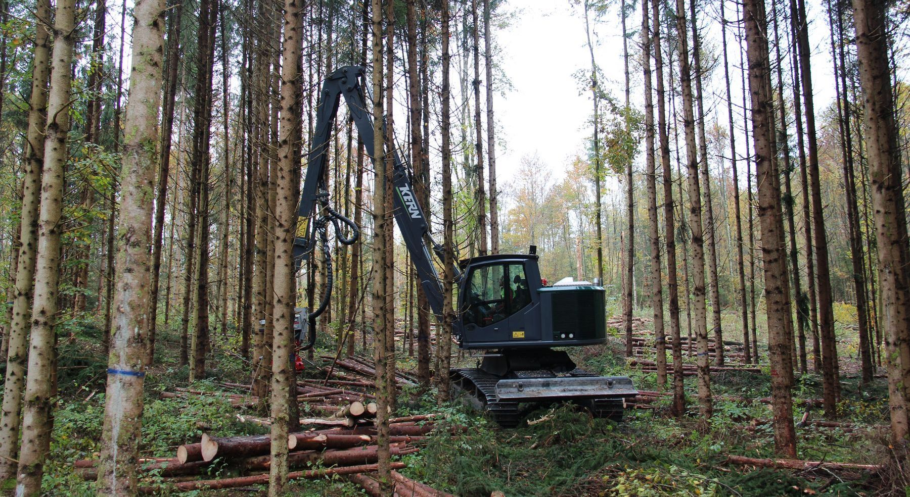 Travaux forestiers avec un véhicule