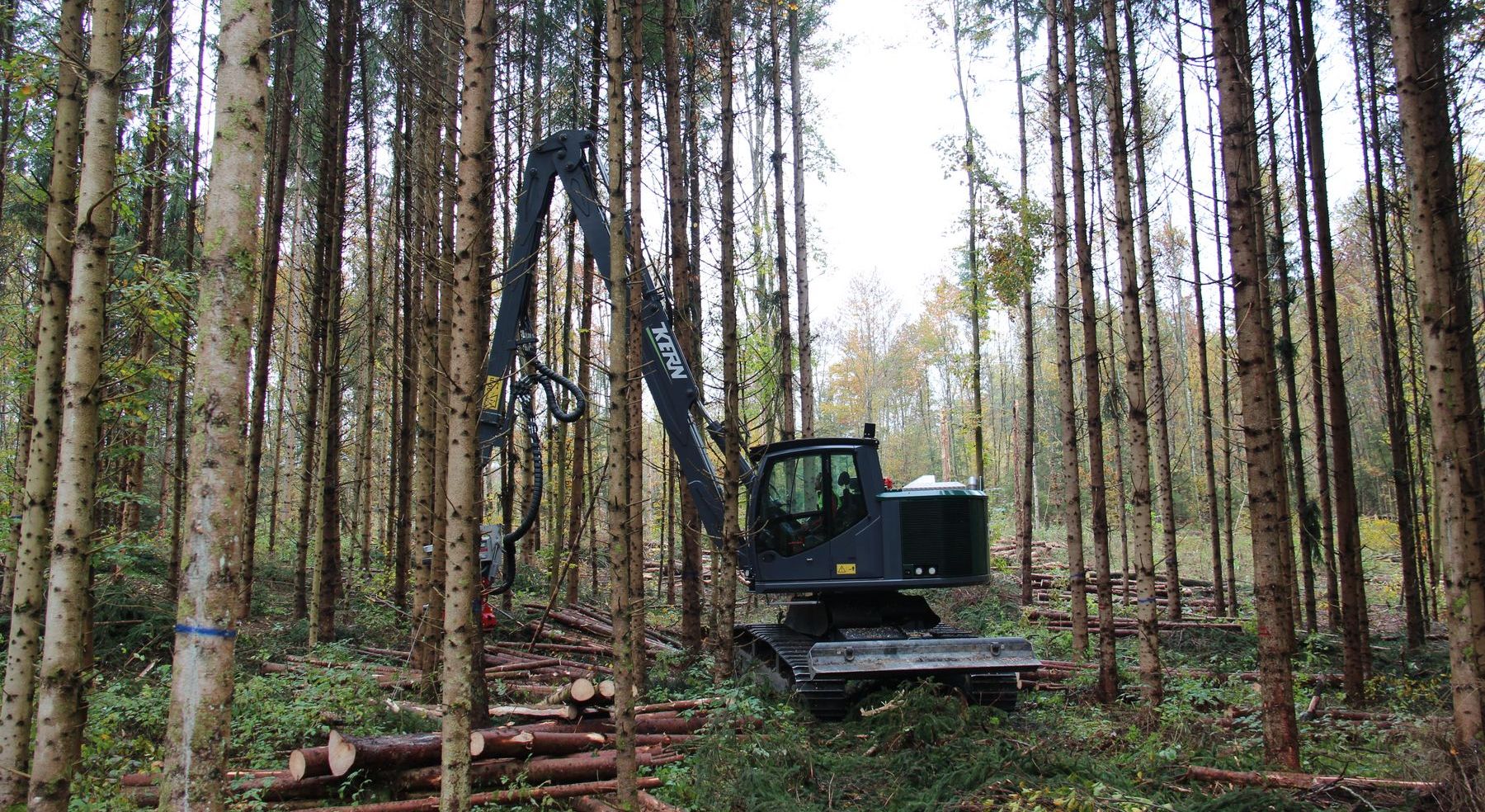 Waldarbeiten mit einem Fahrzeug