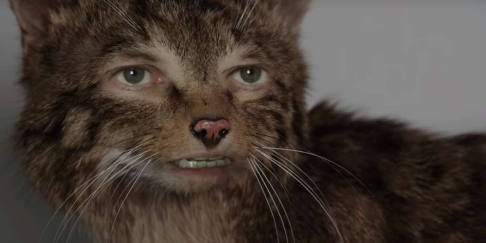 Kater mit Menschenaugen und -mund