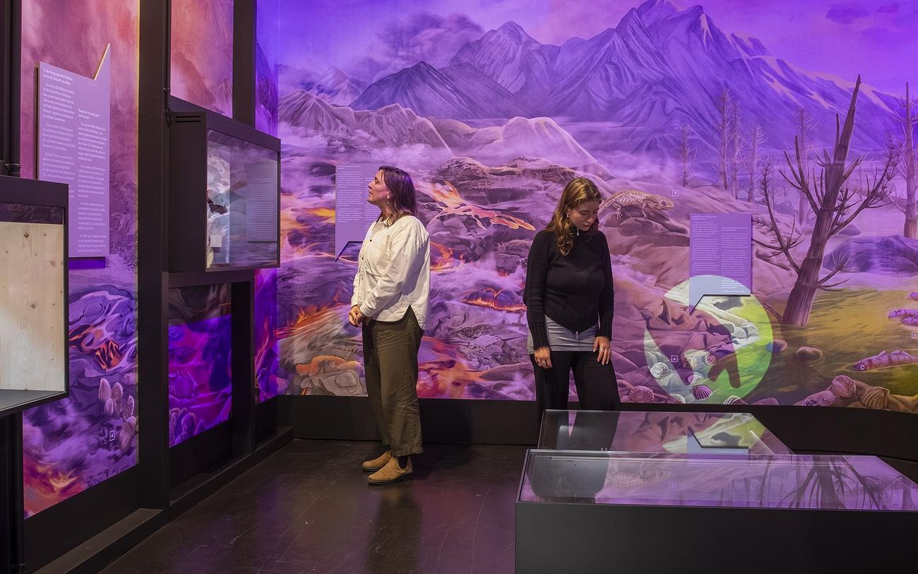 NMBE/Nelly Rodriguez