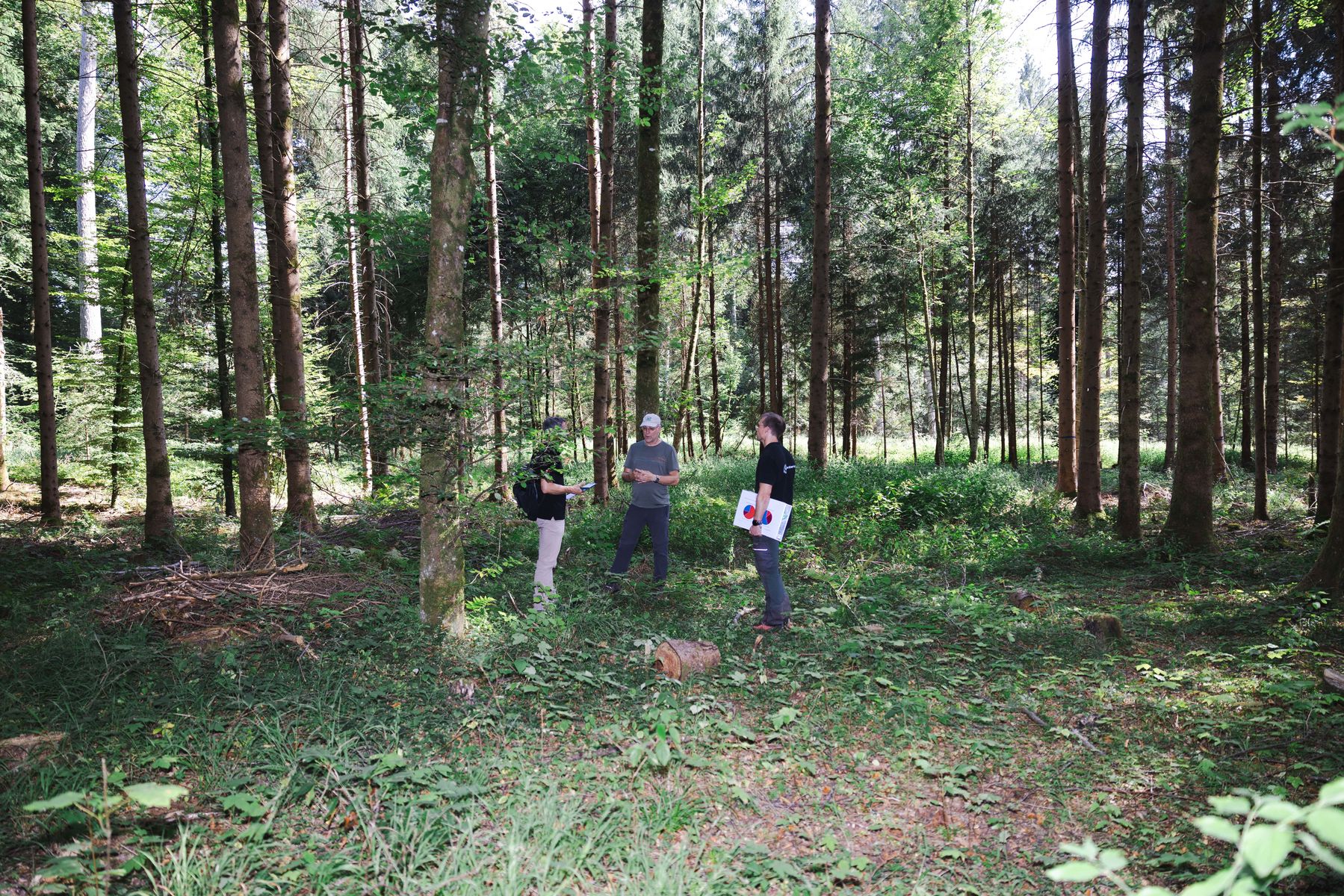 Forstbetriebsleiter und Waldökologe stehen zusammen im Wald