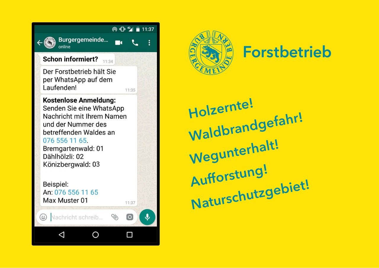 News aus deinem Wald auf WhatsApp
