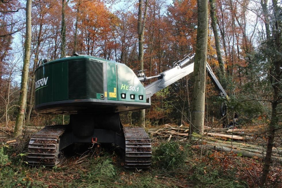 Die Waldmaschine Elenor am arbeiten